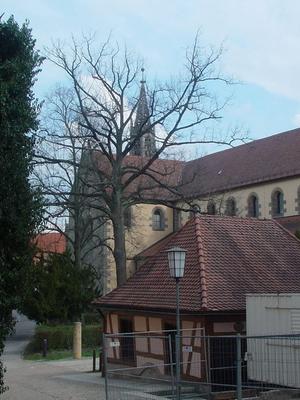 Tomann-Heilsbronn-DSC01845.JPG