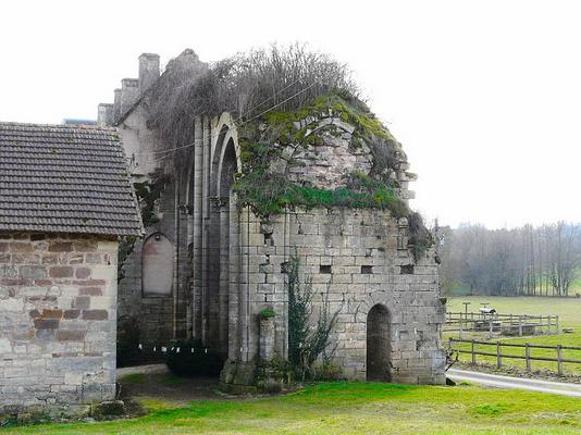 082-Pere_Igor_Sainte-Trie_Dalon_ruines_abbaye__1_.jpg