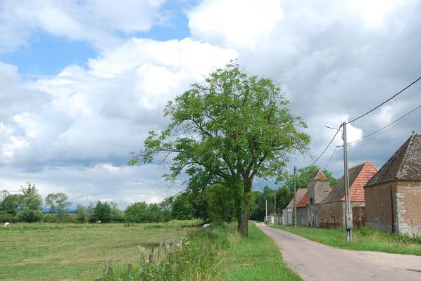 085-Maizieres-Gier-DSC_6862.JPG