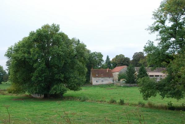 086-Bourras-Gier-DSC_0091.JPG