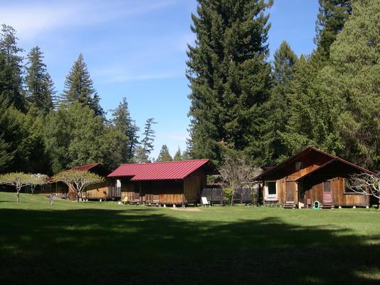 730-Redwoods-OCSO-Cabins_ween_from_South.JPG