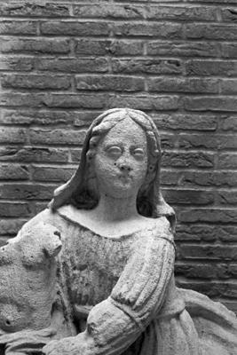 ELV001534_03.jpg