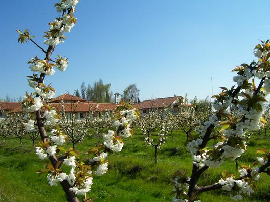 925-OCSO-Monasterio_QUilvo_campo.jpg