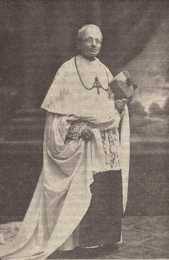 De-Bie-Amadeus-kl.jpg