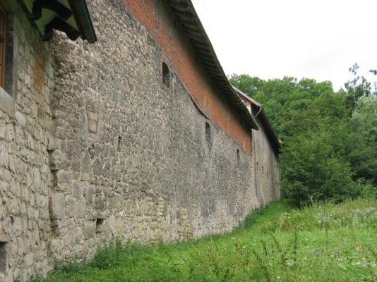 Gelbe_-_av_Anrode_Klostermauer.jpg