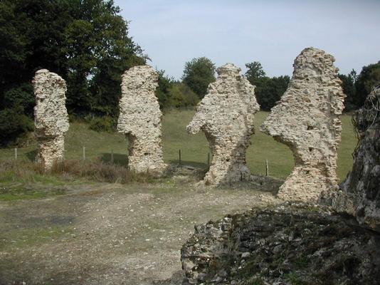 Restes_des_contreforts_des_chapelles_rayonnantes-kl.JPG