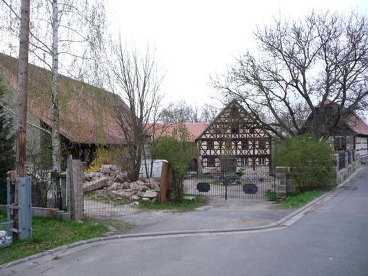 Birkenfeld_17_Gelbe.JPG