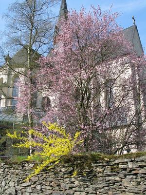 107-Marienstatt-Apsis.JPG