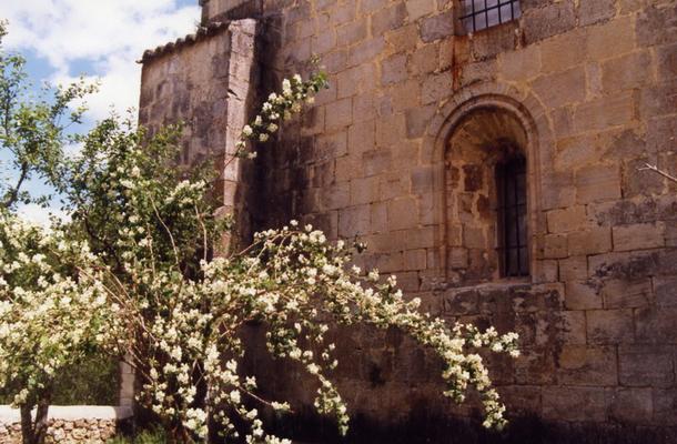 416-Buenafuente-Tomann-ventana y celindas.jpg