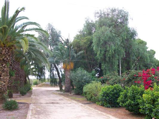 900-LaPalma-OCSO-Entrada_trasera.jpg