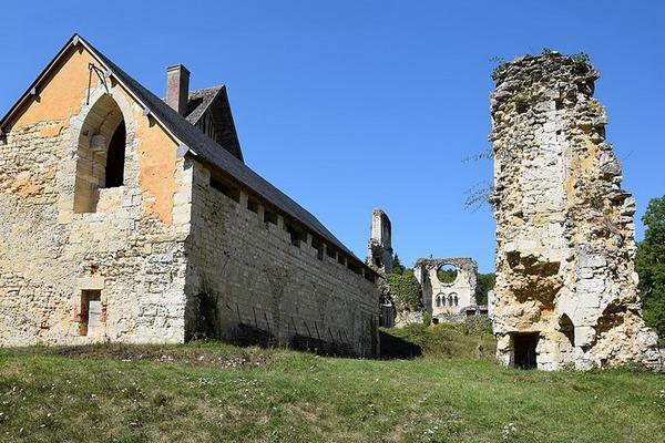 153-Chatsam_-_Abbaye_de_Mortemer_011.jpg