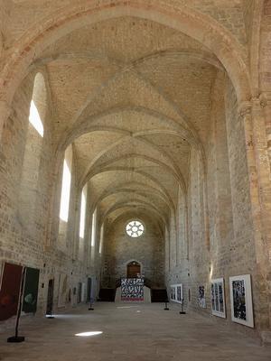 201-Chris06Interior_of_Abbaye_de_Beaulieu-en-Rouergue__8_.jpg