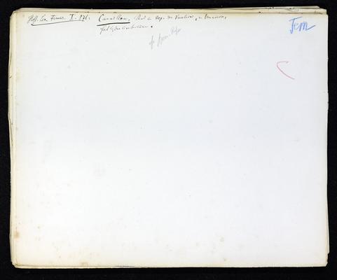 086-StiAZ-02-Leop-03_0725.jpg
