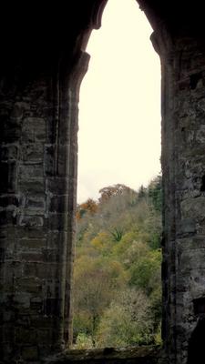 Tintern-Bauernschmidt-Wales 193.jpg