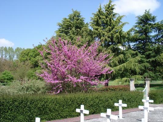 775-2-Campeneac-OCSO-cimetiere-kl.JPG