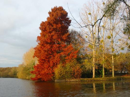 92-Melleray-OCSO-Etang_automne.jpg