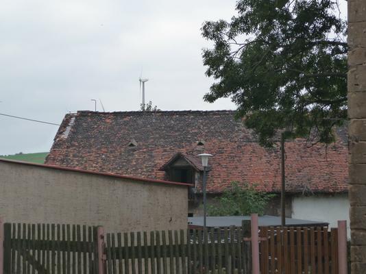 Klosternaundorf_16_Gelbe.JPG