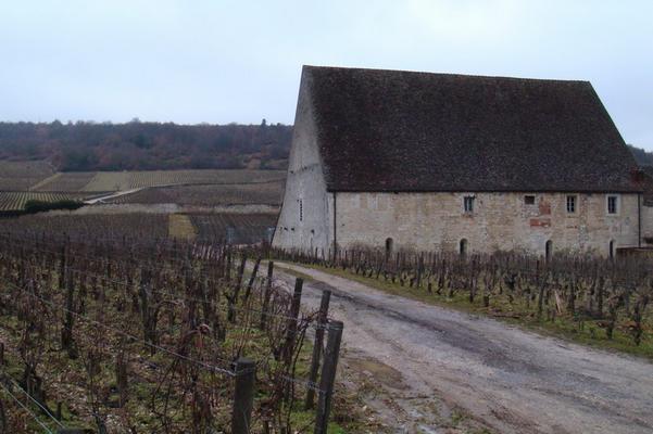 Clos Vougeot Sasama DSC03093.jpg