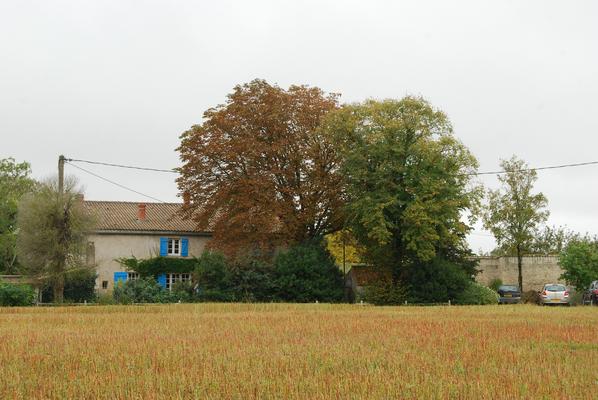081-Saint-Leonard-des-Chaumes-Gier-DSC_7719.JPG