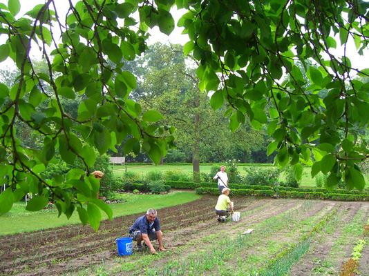 Moehring-Isenhagen-Gartenarbeit_-_035.jpg