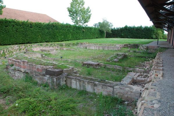 084-Schoenensteinbach-gier-DSC_8577.JPG