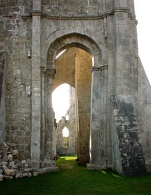 129-Tomann-walkenried kirchenruine 16.jpg