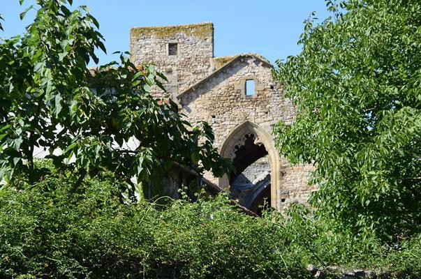 110-Tournasol7-Abbaye_Sainte-Marie_de_Villelongue053.JPG