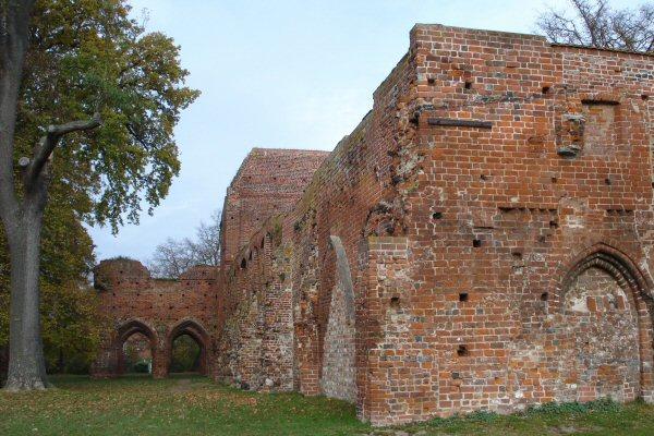 bi_Gelbe_-_Eldena_38_Ostfluegel_der_Klosteranlage.jpg