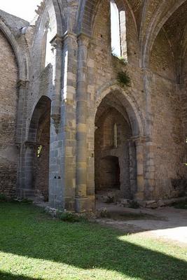 205-Tournasol7-Abbaye_Sainte-Marie_de_Villelongue030.JPG