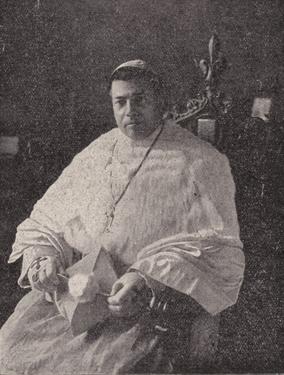 Janssens-Franciscus-2-kl.jpg
