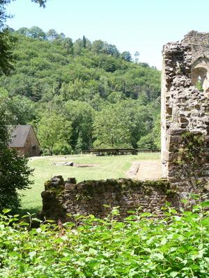 Coyroux_33_Gelbe.JPG