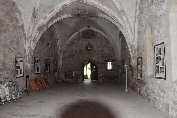 431-Tournasol7-Abbaye_Sainte-Marie_de_Villelongue002.JPG