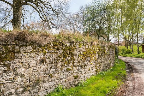 99-Tsungam_-_1024px-Hoexter_-_2017-04-17_-_Kloster_Brenkhausen__27_.jpg