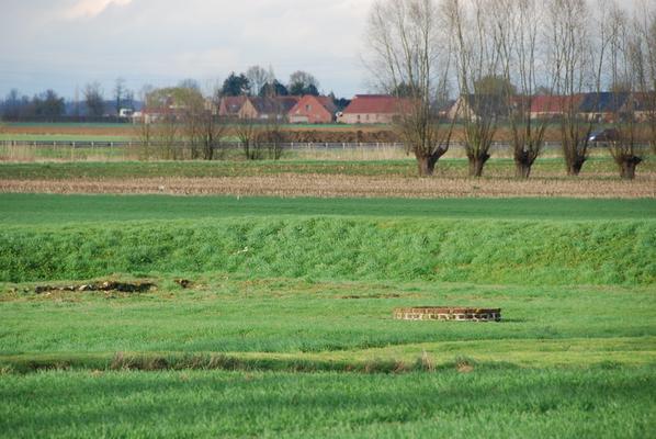 082-Beaupre-Gier-DSC_2769.JPG