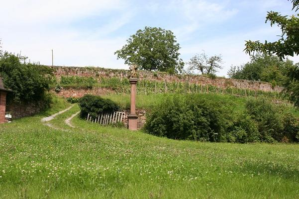 Rosenzweig-Bronnbach-800px-Kloster_Bronnbach_Weinberg_20070714.jpg