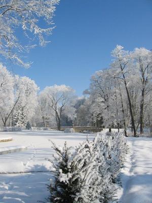 gf_Gelbe_-_Winter_in_Waldsassen.jpg