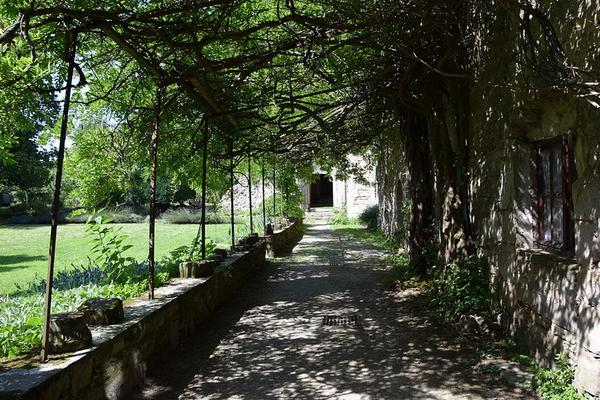 353-Tournasol7-Abbaye_Sainte-Marie_de_Villelongue012.JPG