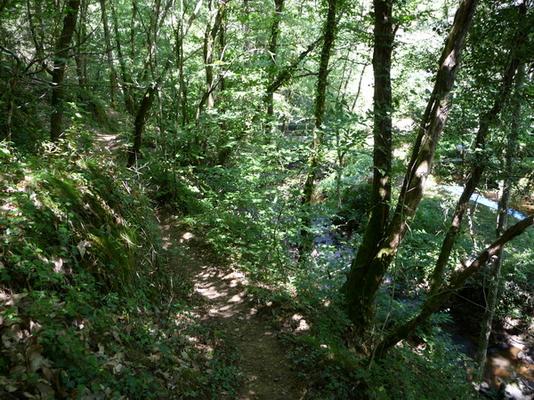 Coyroux_46_Gelbe.JPG