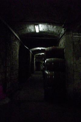 Latroun-cave_Brandy-kl.JPG