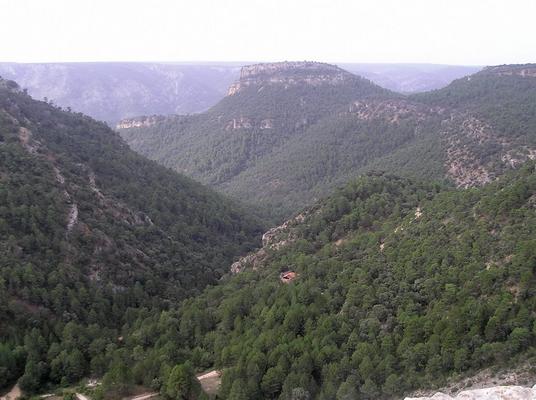 913-Buenafuente-Tomann-la ermita desde las buitreras.JPG