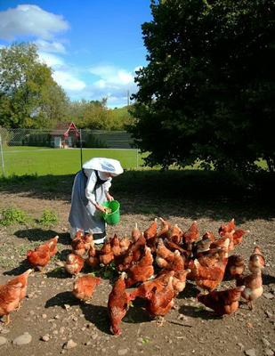 855-Zisterzienser-Schwester-bei-Gartenarbeit-und-Aussenarbeit--Kloster-Frauenthal-11.JPG