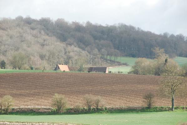 081-Bival-Gier-DSC_2347.JPG