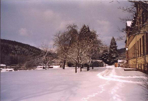 610-Ollig-01-04-1-20.jpg